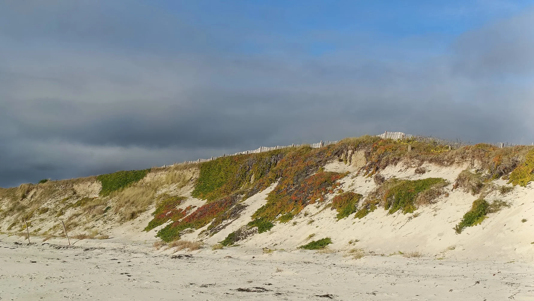 La dune de la plage des Sables Blancs